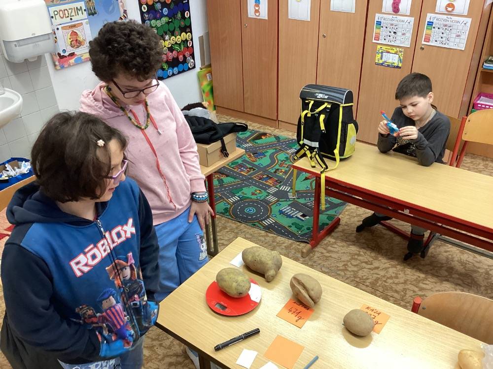 Miniprojekt - "BRAMBORA"