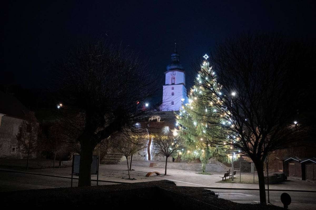 Hranický vánoční strom je v další soutěži. Podpořte ho i tentokrát