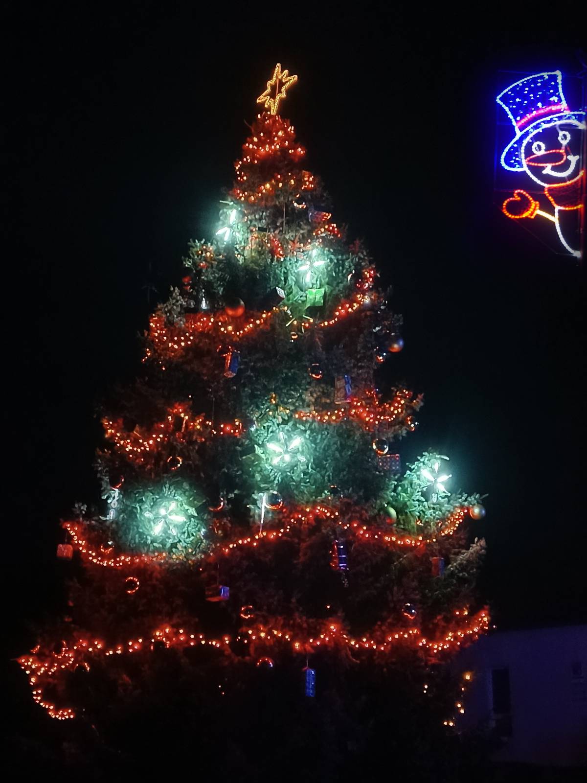 Pokud se Vám líbí náš letošní vánoční strom, na nějž po nocích dohlíží shěhulák s modrou buřinkou, rádi bychom Vás požádali o hlas pro něj v těchto dvou hlasováních: První organizuje Mikroregion Bystřicko,  najdete jej na adrese Hlasování Bys3cko, pokud máte více  emailových adres, můžete hlasovat z každé z nich. Tedy, čím více emailů, tím více hlasů! Hlasuje se do 16. prosince 2025 (včetně). Druhé hlasování organizuje Skupina ČEZ, najdete jej na adrese Rozsvěcíme vánoční stromky, na této stránce pak musíte v její spodní části "Hlasujte pro nejkrásnější vánoční strom" vyhledat lokaci Dolní Rožínka. Zde podle pravidel může každá fyzická osoba hlasovat pouze jednou. Hlasuje se do 18. prosince 2025 (včetně). Obě hlasování Vám zaberou chvíli času, budete muset potvrzovat hlasování ve svých emailech, proto si každého hlasu, který našemu stromu udělíte, velmi vážíme! A nezapomeňte, náš je ten se sněhulákem s modrou buřinkou 😀