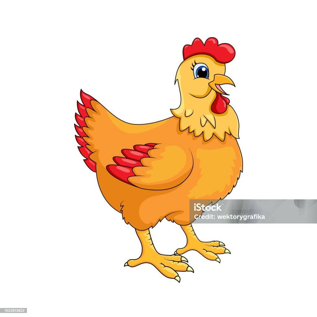 slepice po roce snášky za 140 Kč, krmivo pro drůbež a králíky, vitamínové doplňky a dále pak vykupovat králičí kožky - cena 10 Kč/ks.