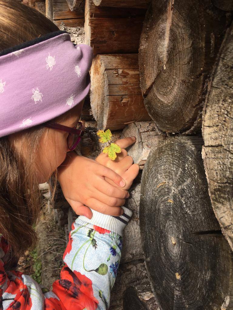 Objevujeme, vytváříme, sdílíme, pečujeme..