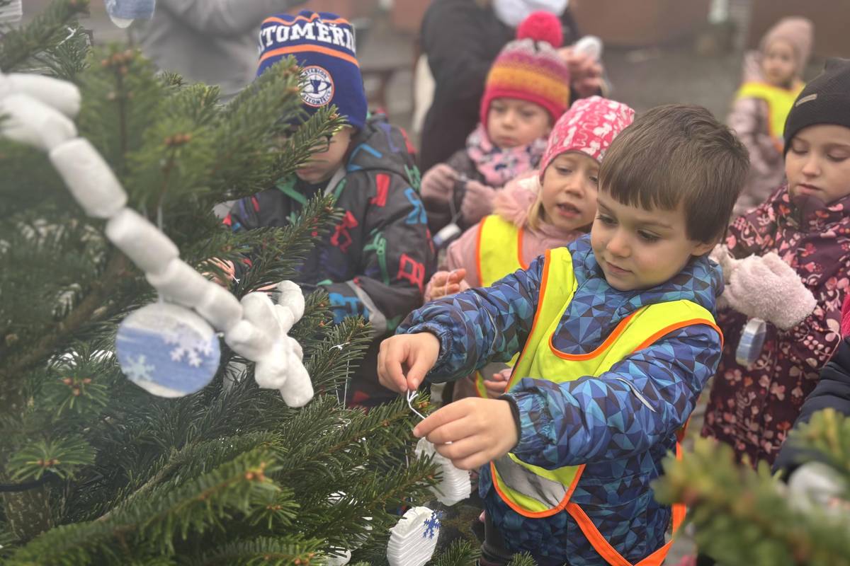 Dvacet pět vánočních stromečků rozzářilo dnes dopoledne adventní výzdobu na Mírovém náměstí v Litoměřicích. Jako každý rok je přišly nazdobit děti z litoměřických mateřinek, ale také z Klokánku a centra Srdíčko. Městská kulturní zařízení pro ně jako poděkování připravila pohádku, která se uskuteční v lednu v Domě kultury.  Dnes zároveň startují adventní trhy, které potrvají až do 22. prosince. Slavnostní zahájení je naplánováno na neděli 14. prosince od 17 hodin. Návštěvníci se mohou těšit na tradiční dřevěné stánky s bohatou nabídkou drobných dárků, kvalitních řemeslných výrobků, skleněných ozdob, svařáku Zahrady Čech i na rozšířenou nabídku vánočních dekorací a zimních aranžmá. Atmosféru trhů podtrhne bohatý kulturní program plný koled, pohádek a koncertů. Na pódiu vystoupí například Sára Milfajtová, Podřipský žesťový kvintet, skupina 4Tety, žáci základní umělecké školy, vokální skupina VOICE a další interpreti, kteří návštěvníkům přinesou sváteční náladu a energii. Text a foto: Anna Jančurová {gallery}02025/stromecky{/gallery}