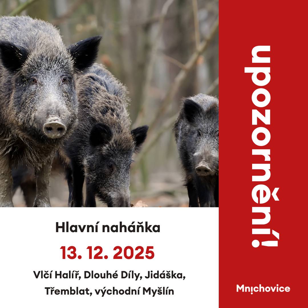 Myslivecký spolek Mnichovice informuje: Hlavní naháňka roku 2025 se koná, za účasti mnoha hostů z okolí, v sobotu 13. prosince od 9 do 15 hodin. Velké leče budou vytvořeny v lokalitách Vlčí Halíř, Dlouhé Díly, Jidáška, Třemblat, východní Myšlín.  Prosíme, nevstupujte do lokalit (budou označeny výstrahou!), se psy ani v předchozích dnech. Děkujeme.
