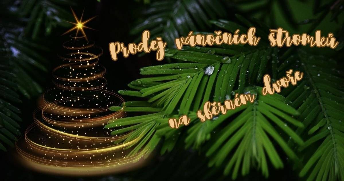 Prodej vánočních stromků na sběrném dvoře ve středu 10.12. od  13 do 17 hodin.  Prodej pouze pro občany Dolního Bukovska a osad. Jedle 500,- Smrk a borovice 300,- Další termín prodeje v sobotu 13.12. od 9 do 11 hodin.