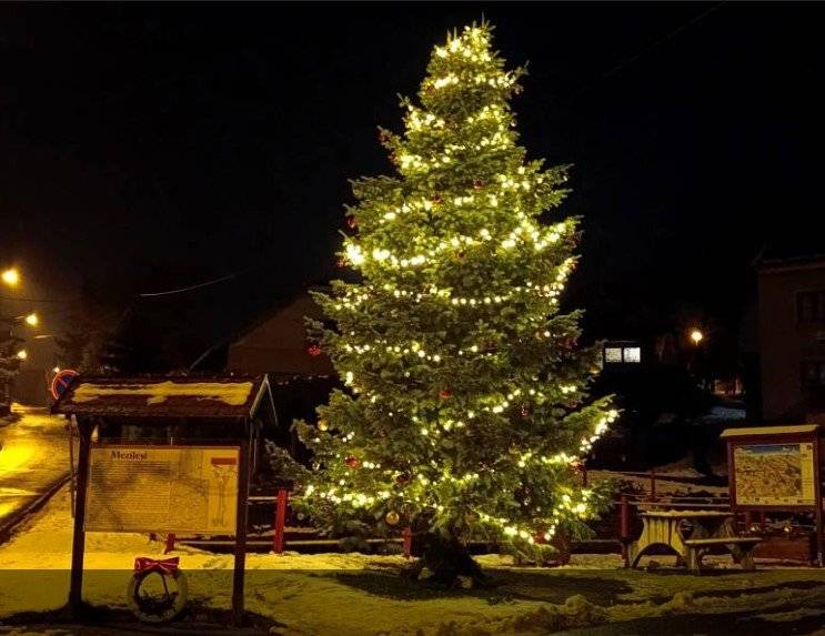 Mezilesí postoupilo do krajského kola ankety o nejkrásnější vánoční strom Královéhradeckého kraje – teď je to na nás! 🌟 Každý hlas se počítá ❤️ Odkaz: Hlasujte pro vánoční strom v Mezilesí
