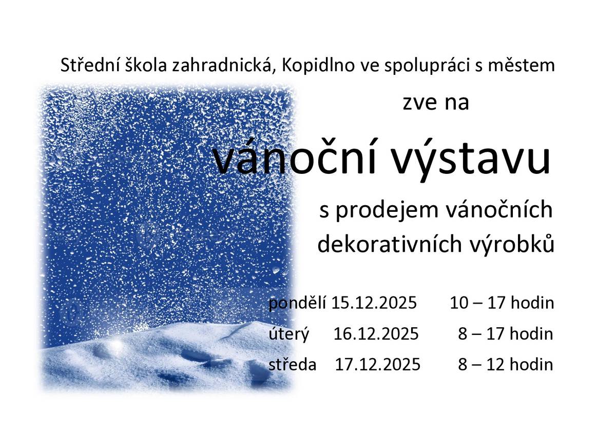 Střední škola zahradnická škola pořada vánoční výstavu s prodejem vánočních dekorativních výrobků.