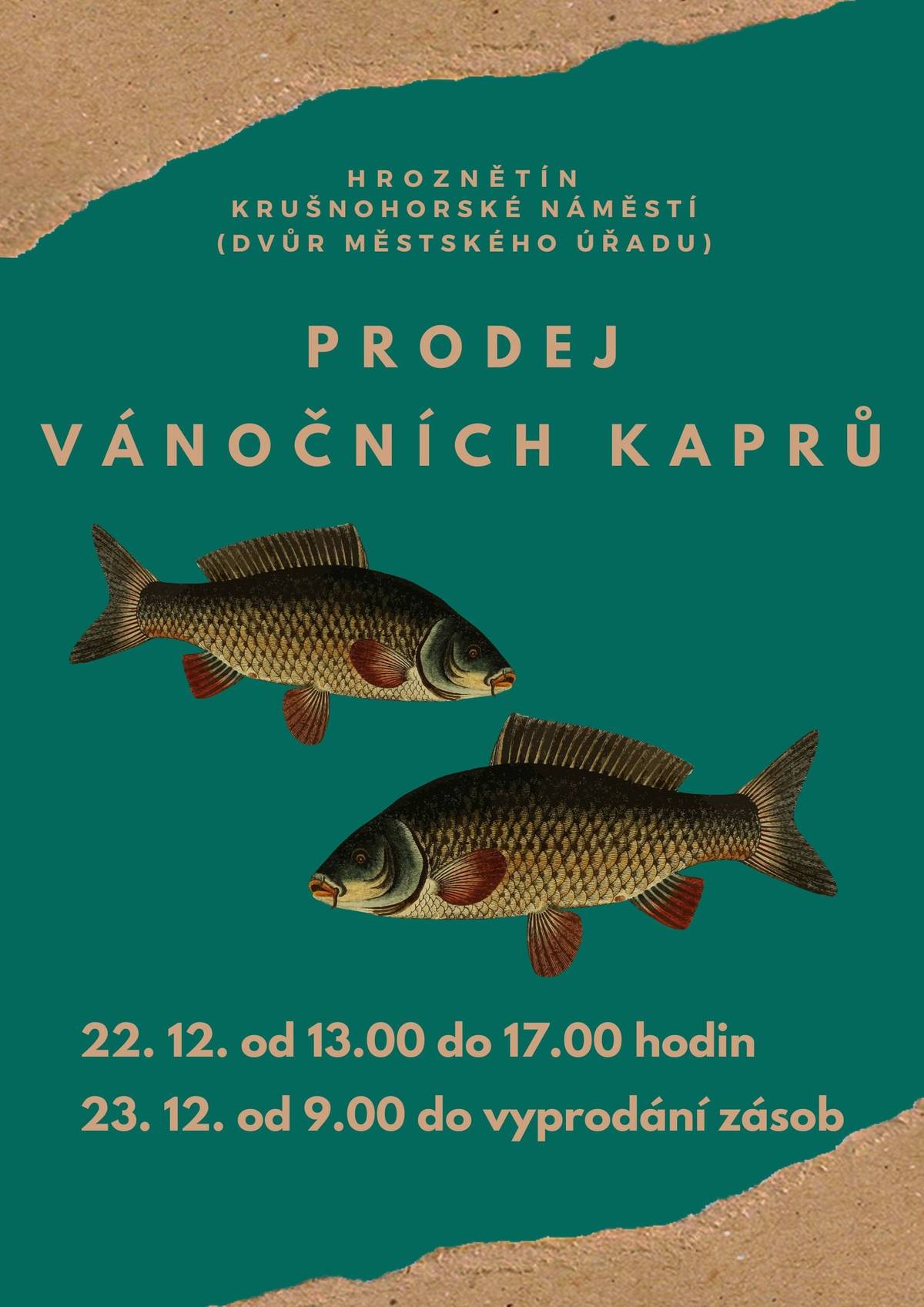 Místo prodeje vánočních kaprů Hroznětín dvůr městského úřadu.