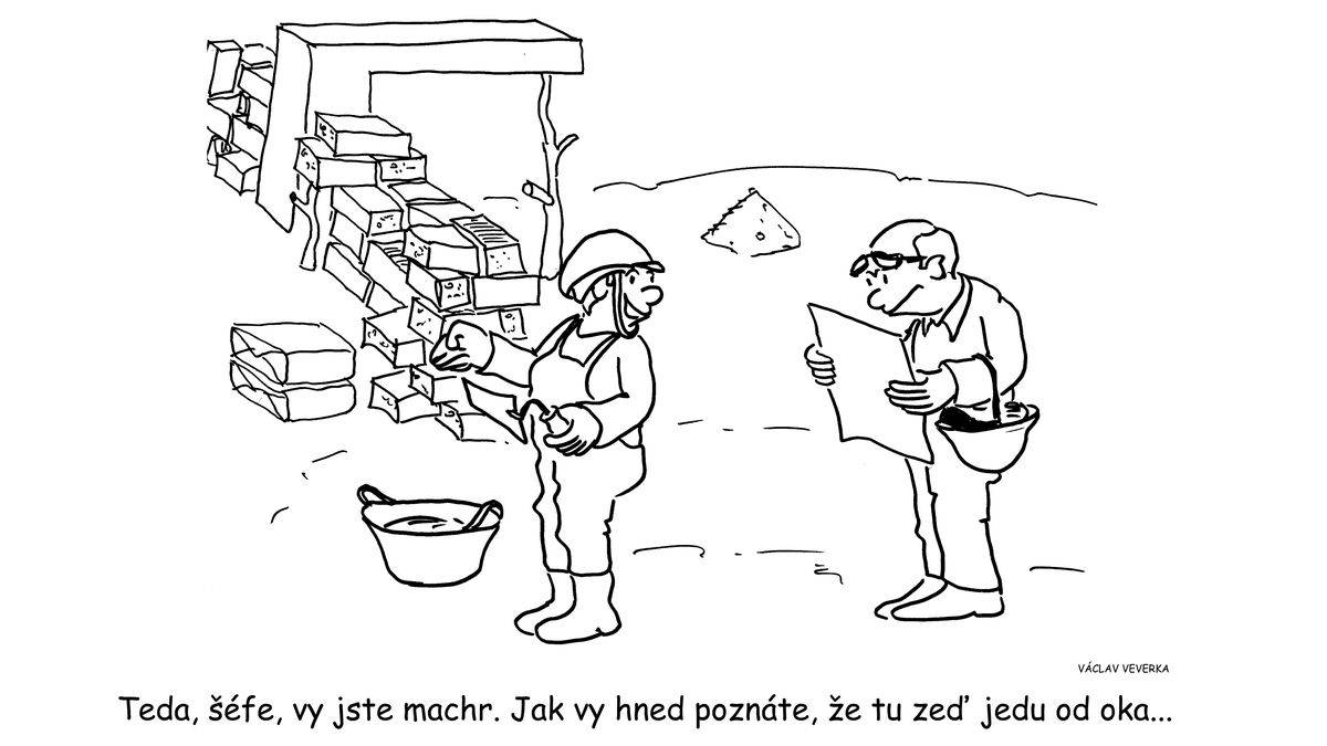 Profesionální práce