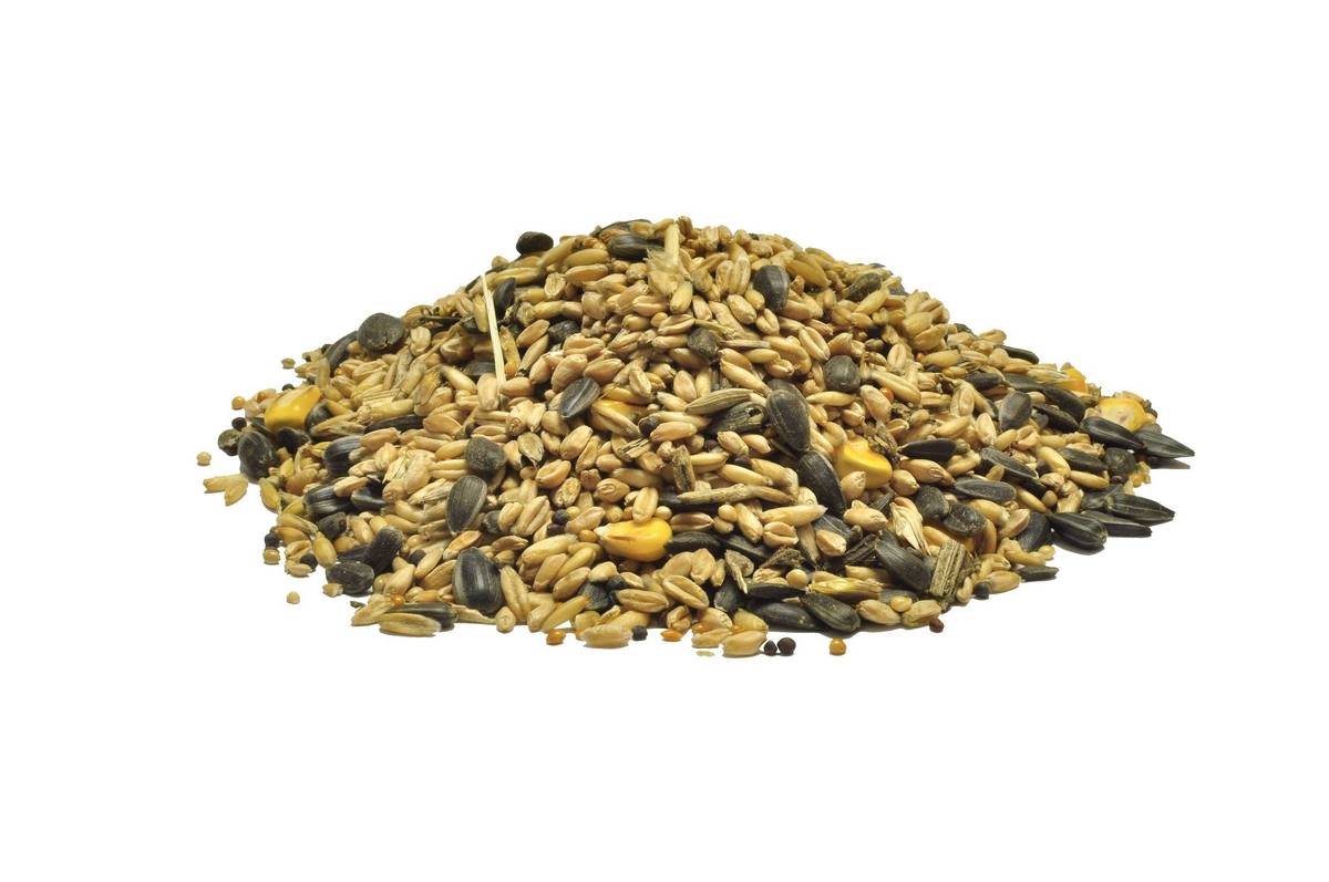 Firma Vojtíšek bude tuto sobotu 20.12. od 11:00 hod. u obecního úřadu prodávat krmné směsi pro hospodářská i domácí zvířata. V nabídce bude:  zimní směs pro venkovní ptactvo 35kč/kg slunečnice 25kč/kg, proso 16kč/kg, obilí, zimní směs pro slepice 25 kg / 330 Kč granule pro králíky 25 kg / 300 Kč, kapsičky pro kočky a psy 5 Kč/ks Jako obvykle budu také vykupovat králičí kůže cena 15kč/ks.