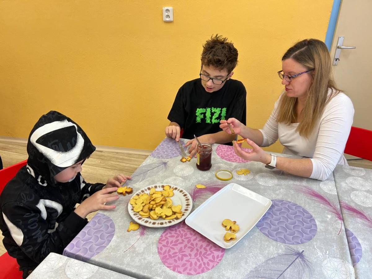 Pracovní vyučování