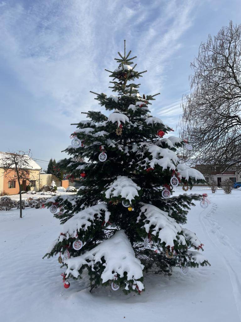 Zveme vás na tradiční zpívání u stromečku.