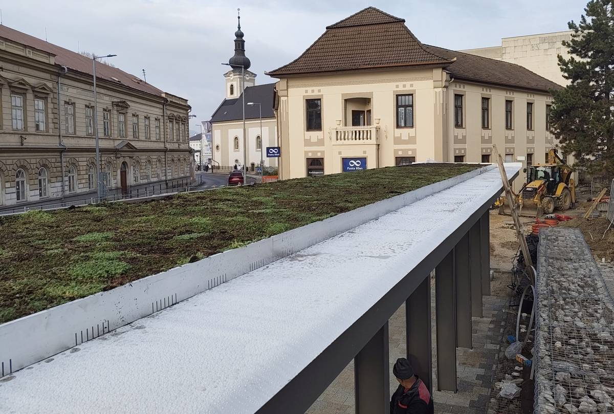 Na streche zastávky sú vysadené skalné ruže. Ide o sukulenty, ktoré vynikajú svojou odolnosťou a rôznofarebnosťou. Charakteristická je prízemná ružica, ktorú vytvárajú dužinaté listy. Skalným ružiam nevadia slnečné lúče, malé množstvo živín, nedostatok vody ani priestoru. Malo by sa im teda dobre dariť. V pešej zóne však pribúda aj iná zeleň. Vysadené sú už všetky stromy, ale v [...]Čítať viac...