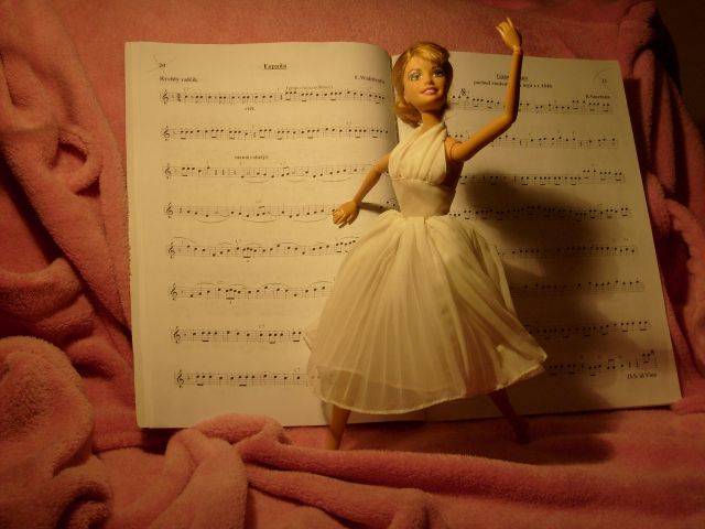 Kolekce fotografií, která se věnuje fenoménu dětské dívčí hračky - Barbie. Jedná se o aranžované fotografie v různých činnostech všedního i profesního života.