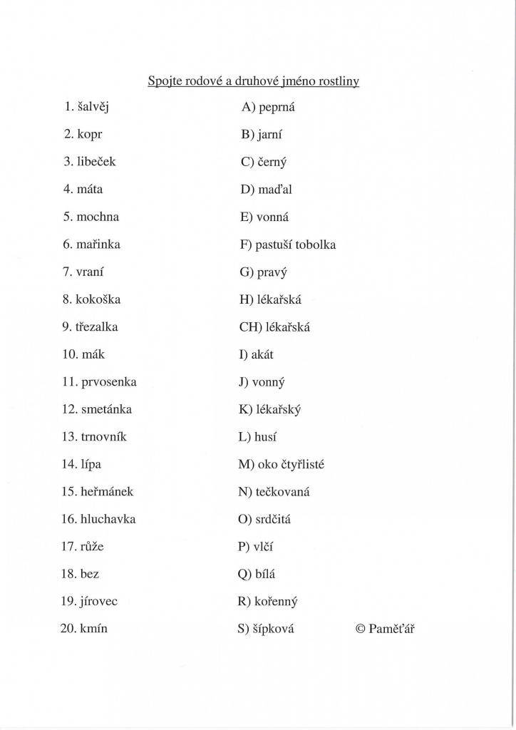 Pro všechny příznivce trénování paměti tu máme šestici úkolů pro tento týden. Doufáme, že Vám alespoň trochu zpestří vaše současné dny.