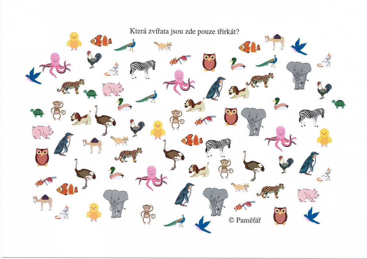 Zdravím všechny příznivce trénování paměti a posílám šestici úkolů pro tento týden.  Tak jako každý týden budu rád za pár řádek od Vás, jak trávíte dny apod.  Tato série cvičení neobsahuje správná řešení,