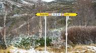 Trip Norsko 2025, Sognefjellet