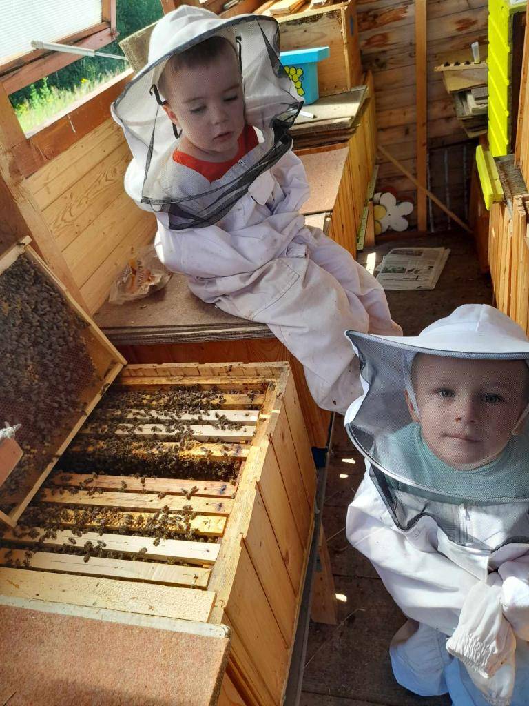 Dnes sme využili pobyt vonku pozorovaním včiel a ochutnávkou medu.
