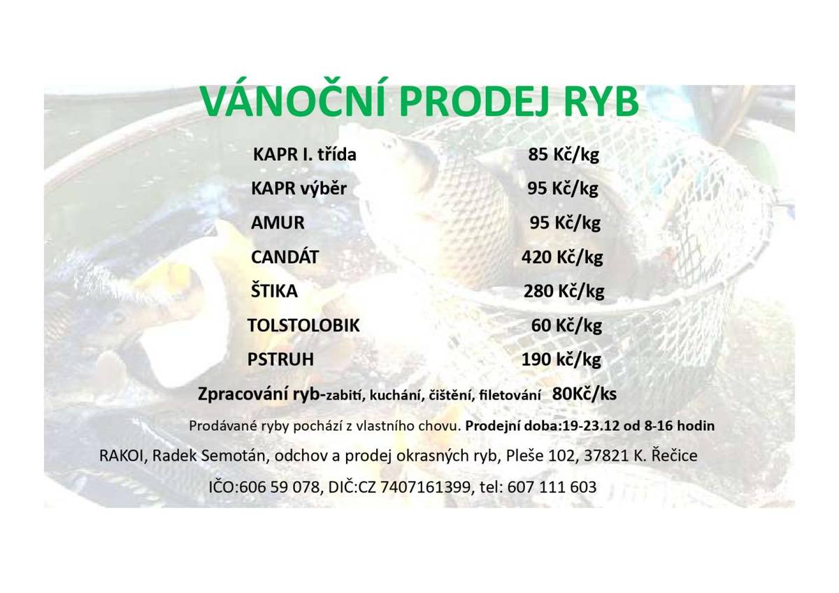 Vánoční prodej ryb - Pleše (19. - 23. prosince 205)