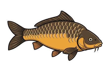 Oznámení o prodeji živých ryb v obci, které proběhne v pátek 19. prosince.