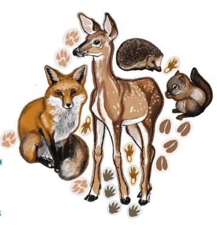 Letos pro vás při mysliveckém sdružení Řečany nad Labem připravilo MYSLIVECKÝ KROUŽEK