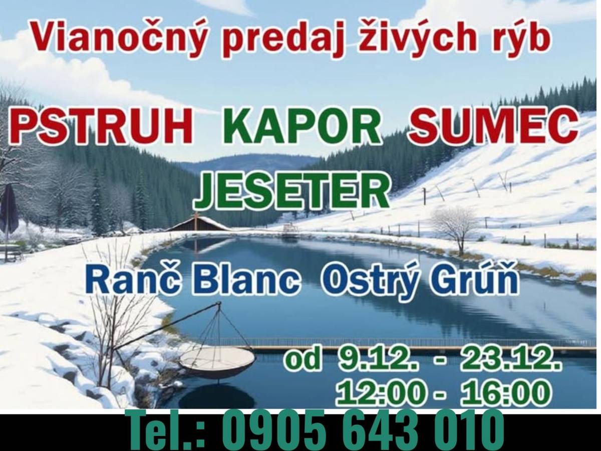 Ranč Blanc Ostrý Grúň ponúka vianočný predaj živých rýb pstruhov, kaprov, sumce a jesetery do 23. decembra 2025 v čase od 12:00 - 16:00 hod. v areály Ranč Blanc Ostrý Grúň. V prípade záujmu sa môžete kontaktovať na tel.č. 0905 643 010.