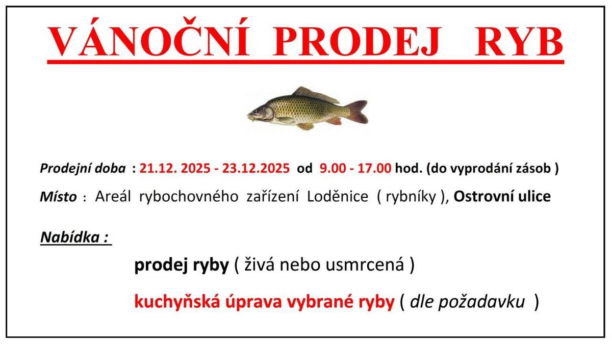 Kde: Areál rybochovného zařízení Loděnice (rybníky), Ostrovní ulice. Kdy: 21. - 23. prosince 2025, od 9:00 do 17:00 (do vyprodání zásob).