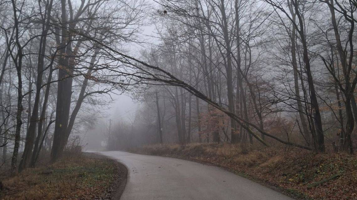 Zvýšte prosím opatrnosť na ceste smerom k parkovisku na Jahodníku, kde dva vyvrátené stromy pri páde zachytili elektrické vedenie!