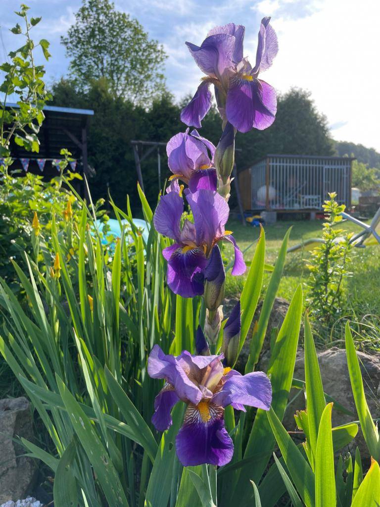 Červen 2023, číslo 374