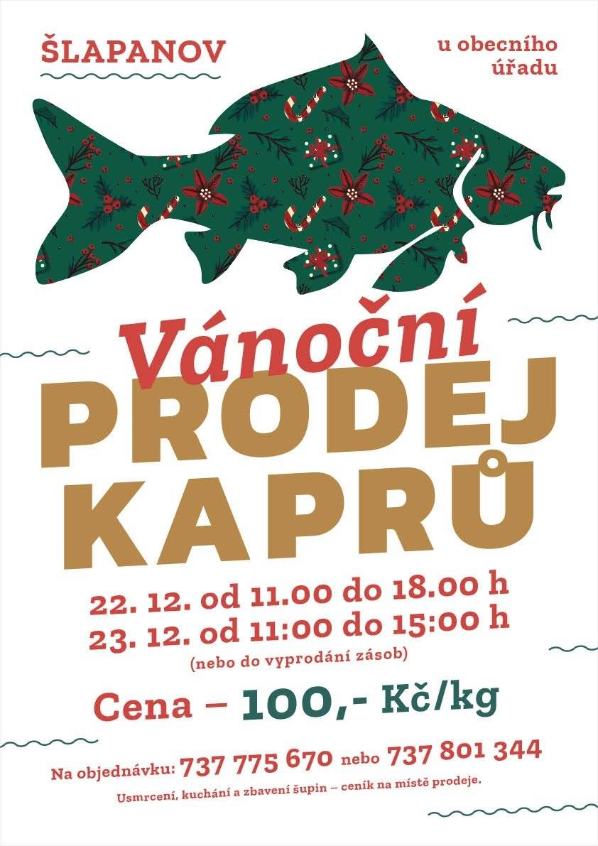 Tak jako každý rok, i letos se u obecního úřadu objeví vánoční kapři - přijdou včas, v dobré kondici a s jasným posláním – potěšit milovníky tradic. 🐟 Prodej: 📅 22. 12. od 11:00 do 18:00 📅 23. 12. od 11:00 do 15:00 ⏳ nebo do vyprodání zásob 💰 Cena: 100 Kč / kg 📞 Objednávky (kapří hotline): 737 775 670 737 801 344 Ať už kapra kupujete pravidelně, nebo jen rádi víte, co se u nás děje, přejeme všem klidný advent a pohodové svátky 🎄