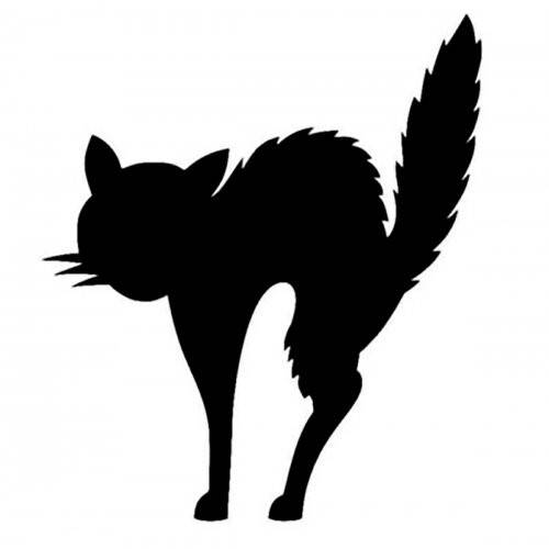 Vážení obyvatelé města Rokytnice v Orlických horách,  rádi bychom vás informovali o kastračním programu, který jsme připravili.  Podrobnosti naleznete v následujících letáčcích.  Věříme, že tato iniciativa přispěje k zodpovědnému chovu a k lepšímu prostředí pro nás i naše zvířecí společníky.