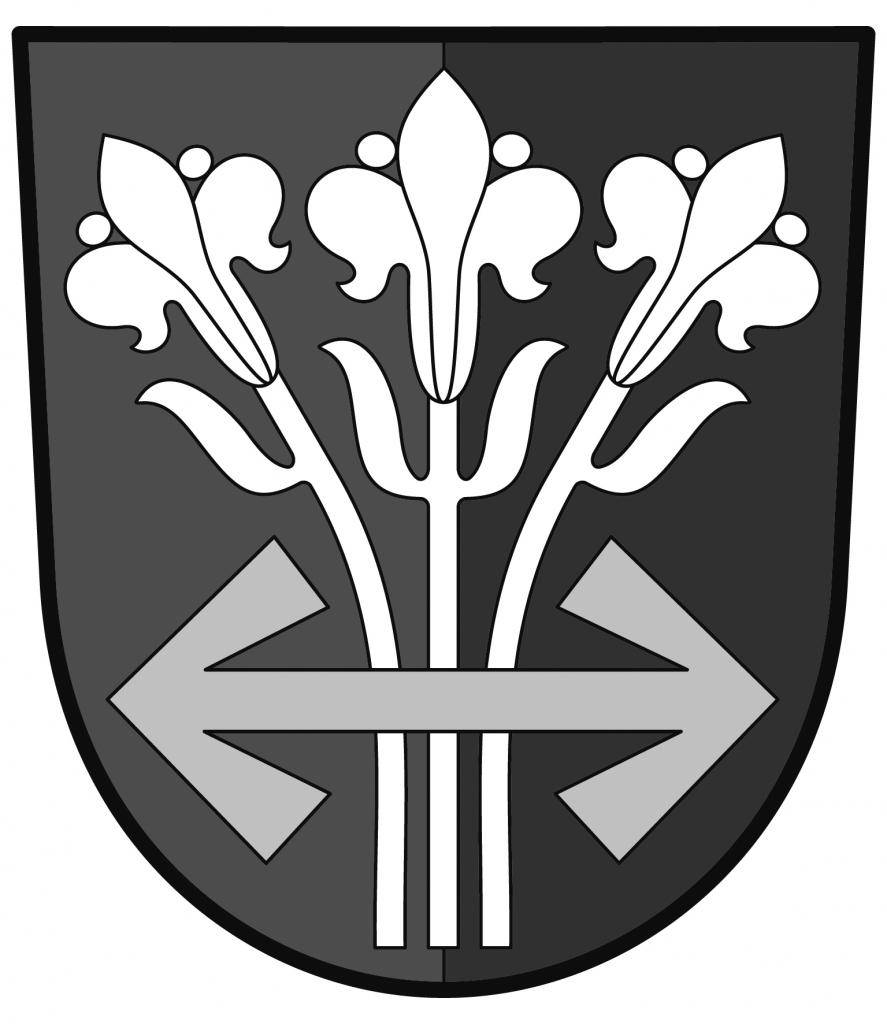 Videospot obce Starkoč