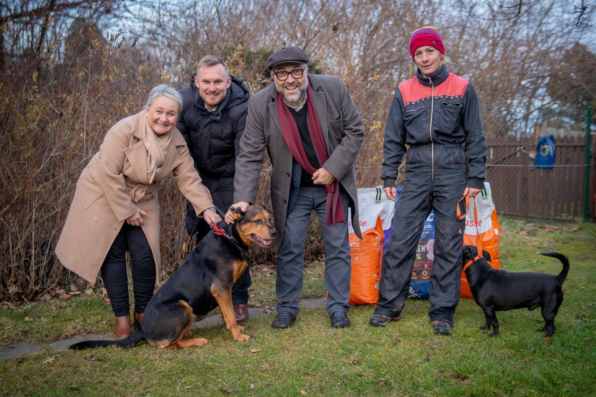 Adventní čas ve Frýdku-Místku již tradičně patří také těm, kteří si o pomoc sami říct neumí. Zástupci vedení města i letos navštívili útulky pro opuštěná zvířata čekající na druhou šanci. Konkrétně psí útulek v Sedlištích a městský kočičí depozit na Sokolské ulici spolku Neposedné tlapky. Čtěte na webu města: SVÁTEČNÍ NÁVŠTĚVY ÚTULKŮ. FRÝDEK-MÍSTEK POKRAČUJE VE VÁNOČNÍ TRADICI POMOCI ZVÍŘATŮM | Frýdek-Místek