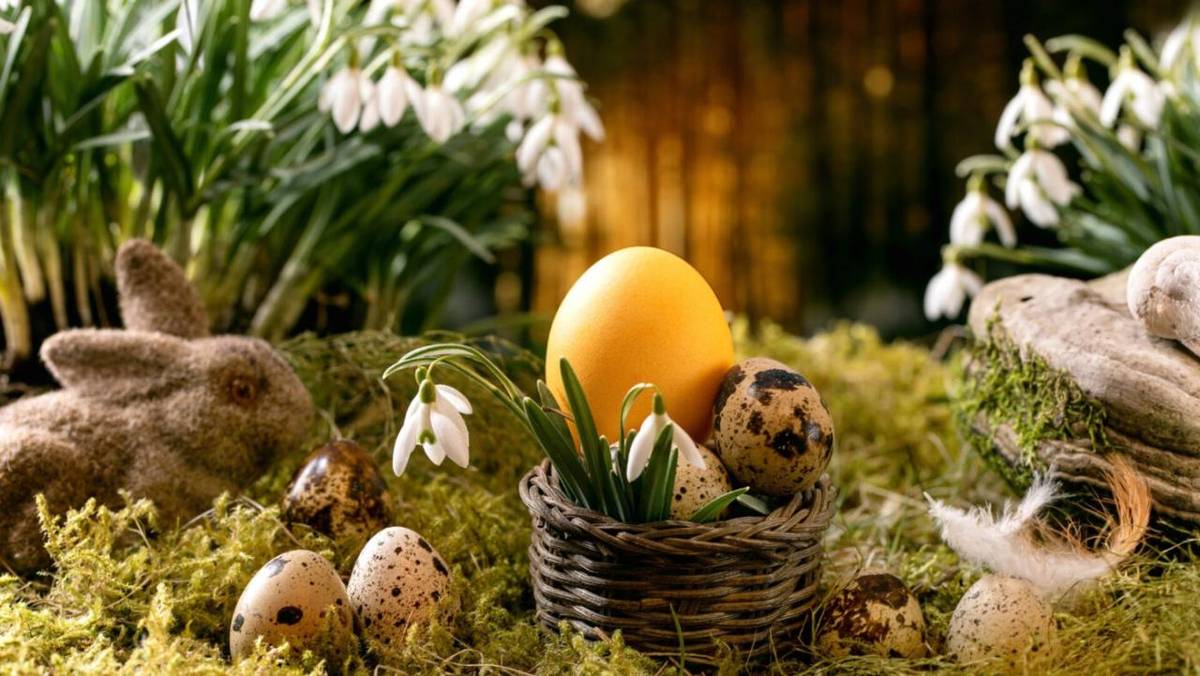 Vážení rodiče, milí žáci a přátelé školy, přejeme Vám klidné a radostné velikonoční svátky a hezké jarní dny prožité  v kruhu vašich blízkých.