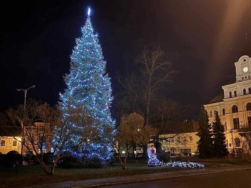 Podpořte netolický vánoční strom v hlasování o nejhezčí vánoční strom Jihočeského kraje.