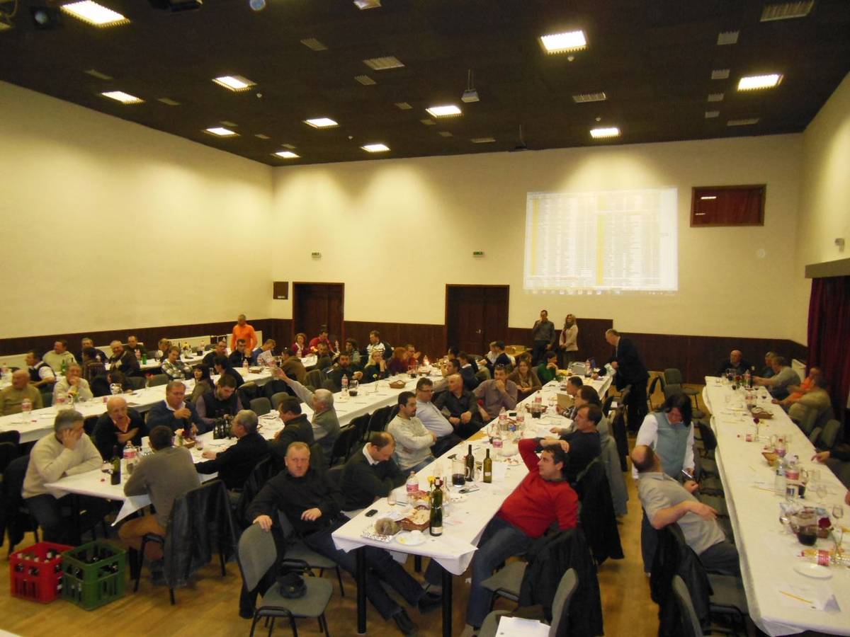 31. súťaž strekovských ví