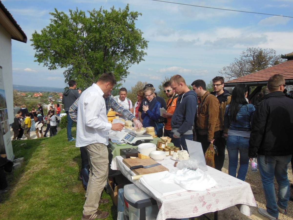 Degustácia vín v meste Mór a na pikniku v obci Etyek