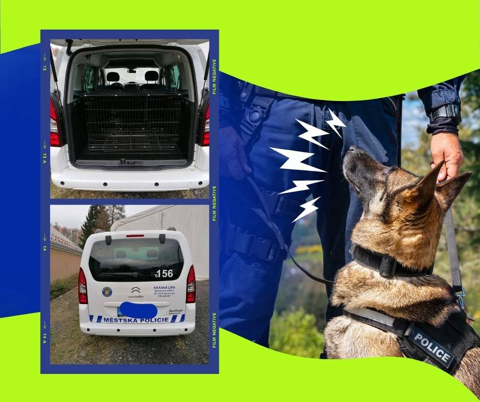 Vozidlo městské policie jsme vybavili klecí na bezpečnou přepravu odchycených zvířat.