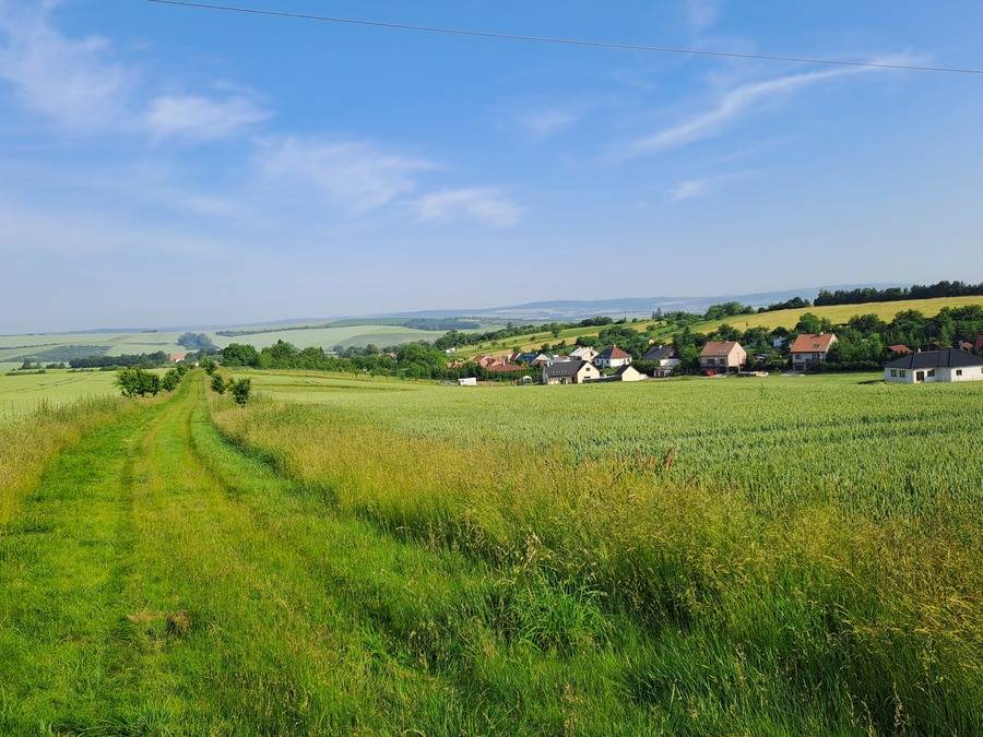 Vážení spoluobčané, spousta z nás má doma pejska. V okolí obce je mnoho možností kam vyrazit na procházku. Jak pole, tak i les jsou honitbou, v tomto prostoru by jsme se my i pes měli chovat tak, abychom nerušili zvěř.