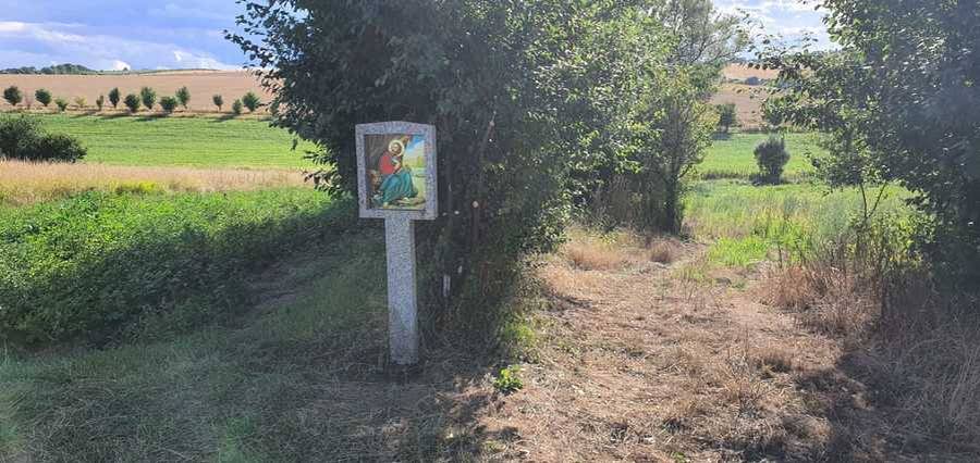 Obnovení obrázku sv. Marka v polích "Na Paděličkách". Několik desetiletí ležel tento sloupek zlomený a zarostlý v trávě na konci cesty kolem "Padělíčků" směr k pruskému rybníku.