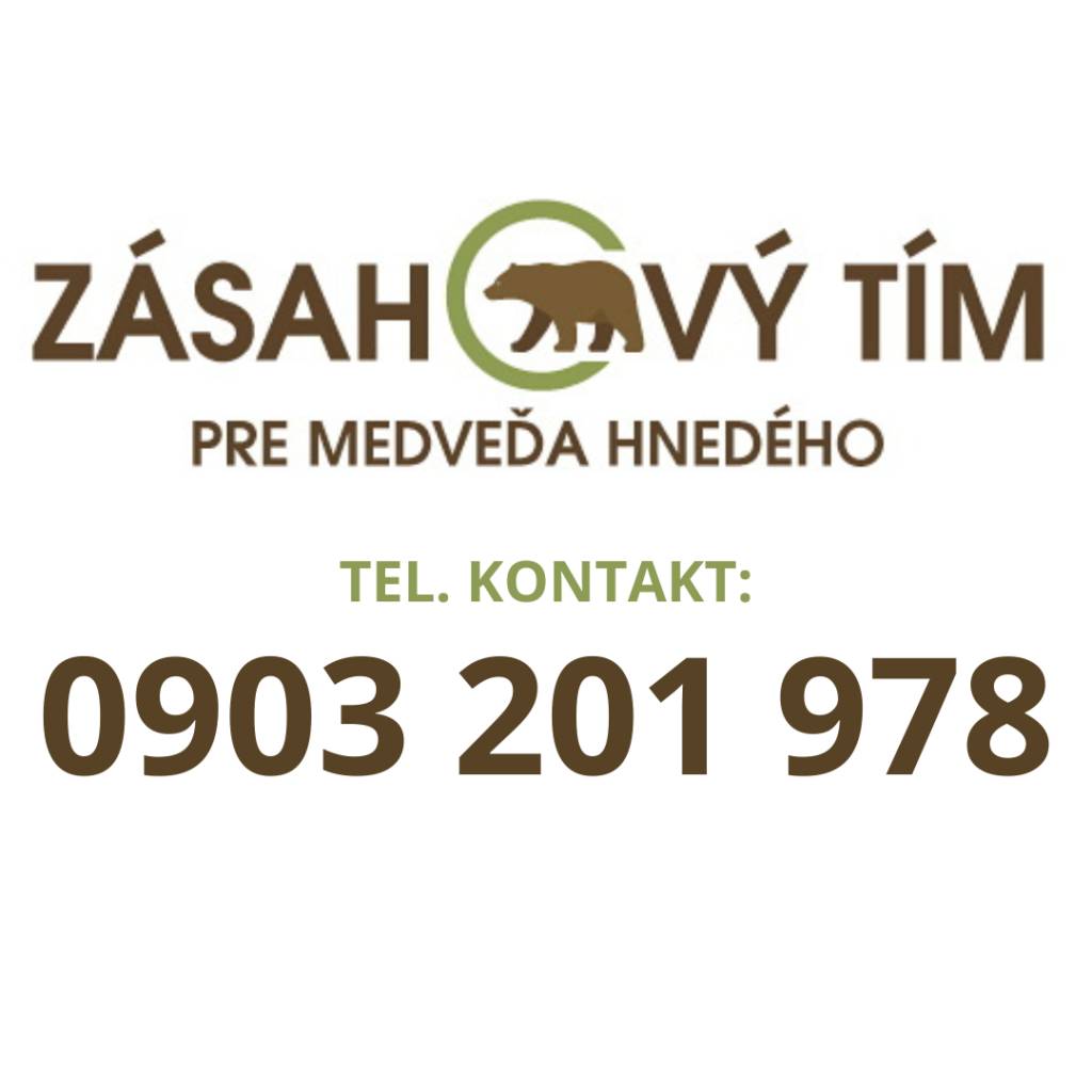 Žiadame občanov, aby v prípade stretu resp. zaznamenania pohybu medveďa hnedého v blízkosti zastavaného územia obce Vikartovce, túto skutočnosť ihneď telefonicky nahlásili na ZÁSAHOVÝ TÍM SEVER, tel. č. 0903201978.
