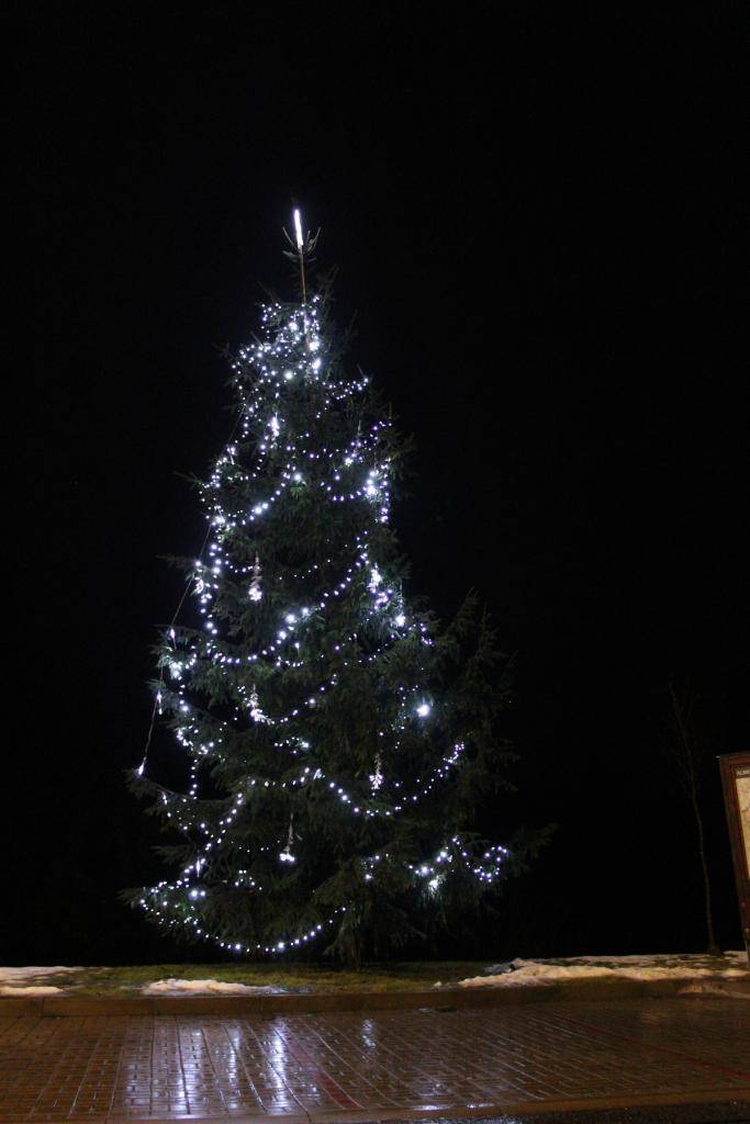 V důsledku vánočních svátků bude obecní úřad uzavřen od 22. prosince 2025 do 2. ledna 2026. V uvedeném termínu nebude možné vyřizovat úřední záležitosti.