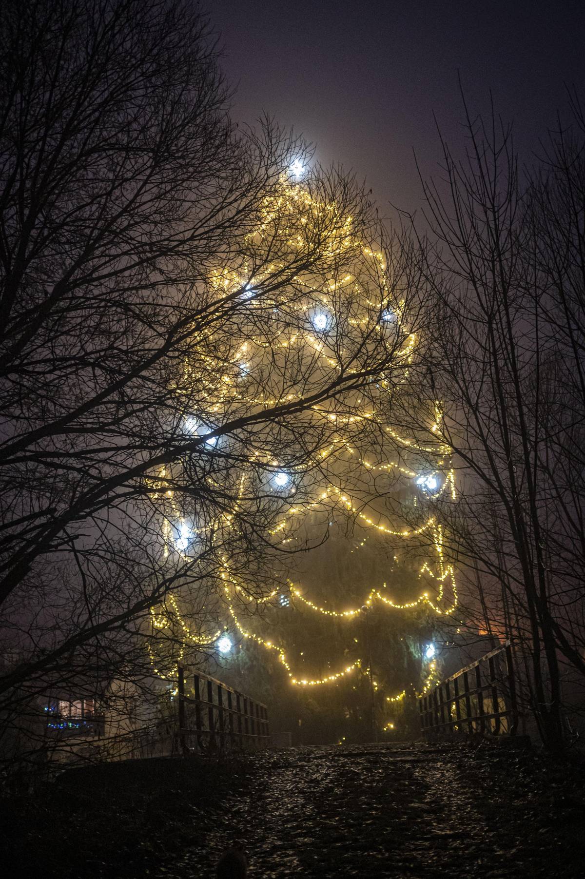 Hlasujte v Anketě DENÍKu pro náš vánoční strom. Hlasování končí zítra ve 12 hodin. Pojďme společně posunout náš strom do republikového kola. Odkaz: https://orlicky.denik.cz/zpravy_region/vyberte-nejhezci-vanocni-strom-pardubickeho-kraje-hlasujte-pro-ten-z-pardubic-20.html