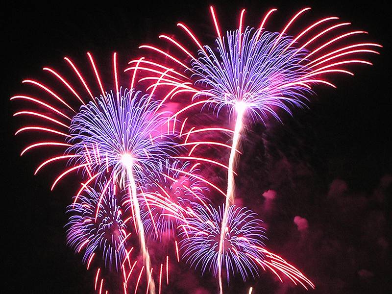 Mrkněte dál ....  Od 8.5.2025 již platí vyhláška obce  a od 1.12.2025 i nový zákon  Pozor na to !