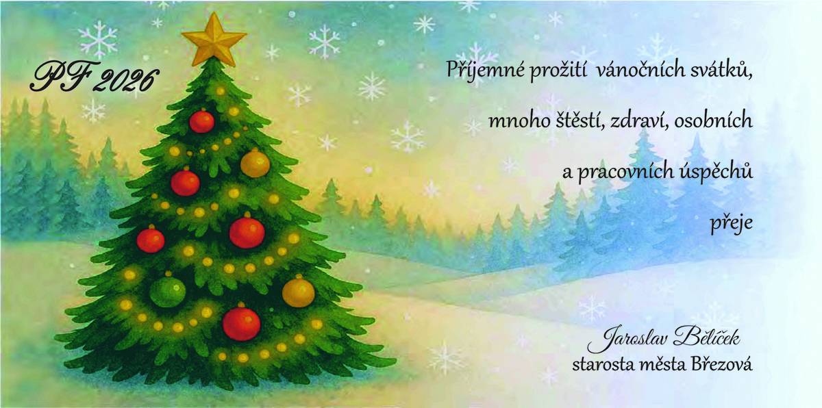 Přeji všem občanům našeho města krásné Vánoce a šťastný nový rok.