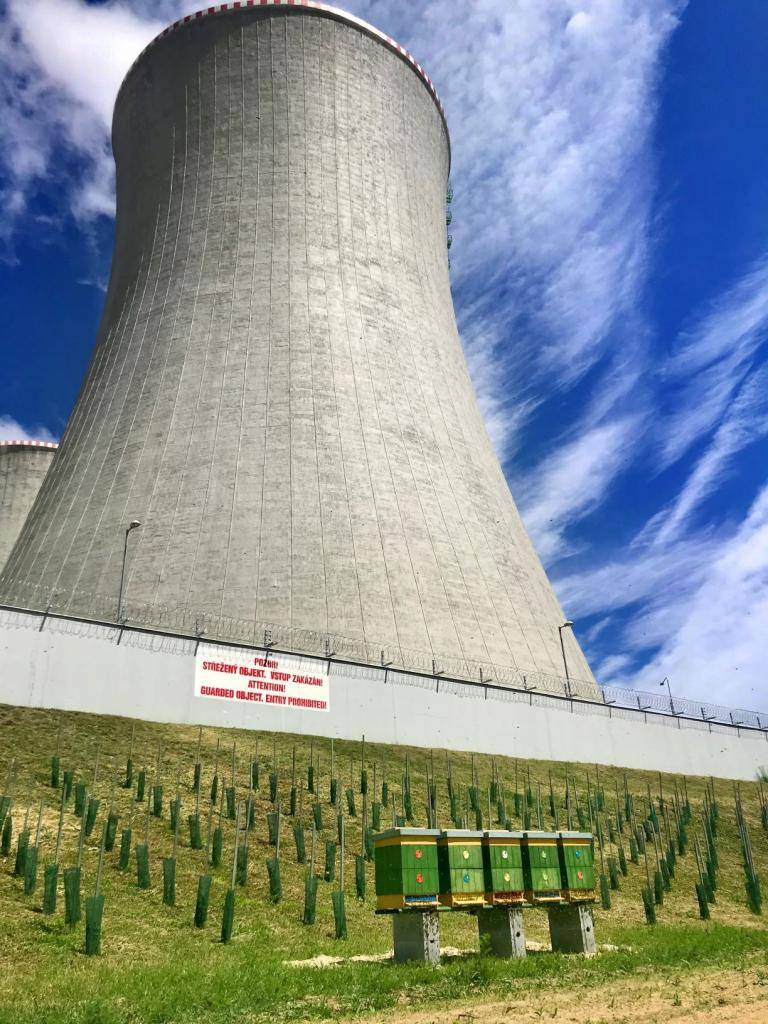 K datu 20. května se váže světový den včel, má zvyšovat povědomí o zásadní roli, kterou včely hrají při udržování zdraví lidí a planety.   Od roku 2021 včely poctivě pracují i u Jaderné elektrárny Dukovany a svoji energii přenáší do produkce zdravého, kvalitního a velmi chutného medu.