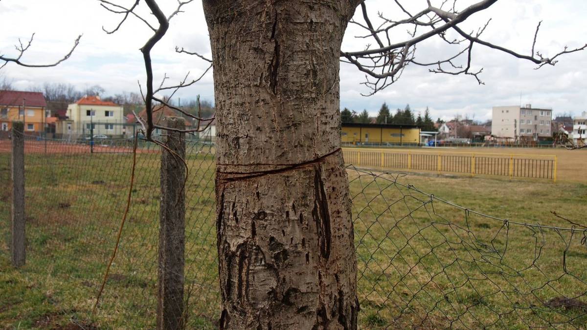 Akí bezohľadní dokážeme byť .......!!!