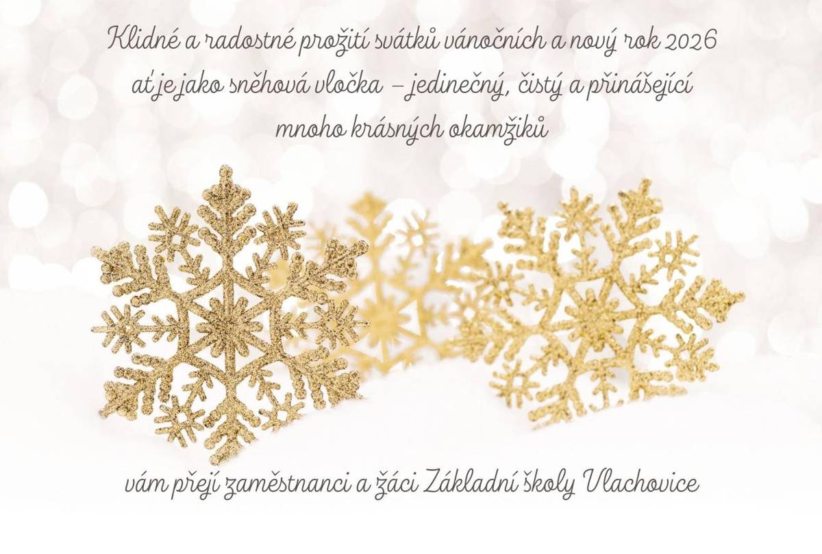 Klidné a radostné prožití svátků vánočních a nový rok 2026  ať je jako sněhová vločka – jedinečný, čistý a přinášející   mnoho krásných okamžiků    vám přejí zaměstnanci a žáci Základní školy Vlachovice