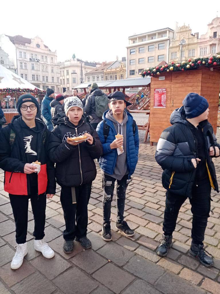 Ve středu 17. prosince obě šesté třídy společně vyrazily vlakem do Plzně do zoo a na vánoční trhy na náměstí.
