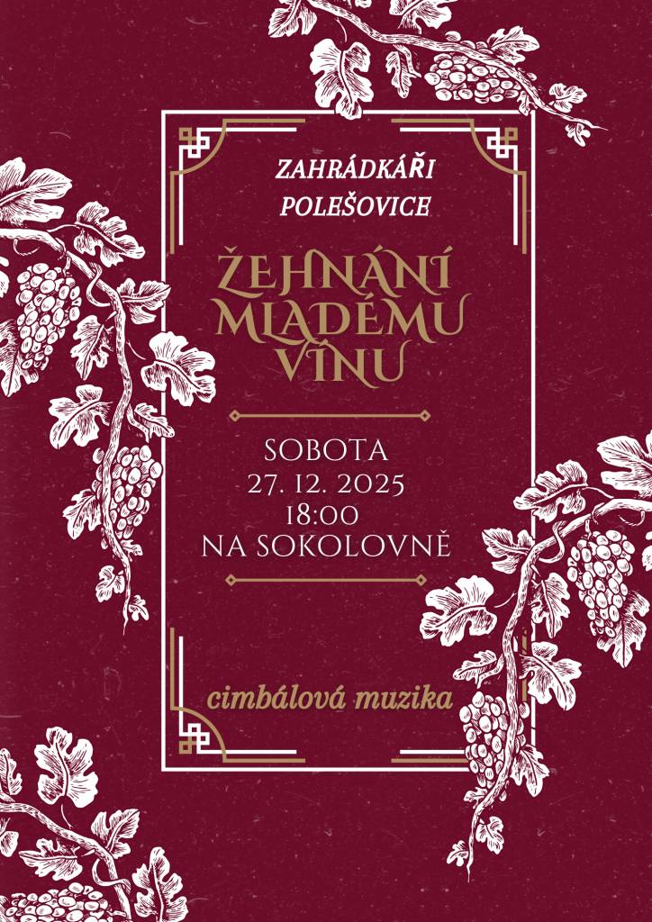 v sobotu 27.12. od 18:00 v sále sokolovny