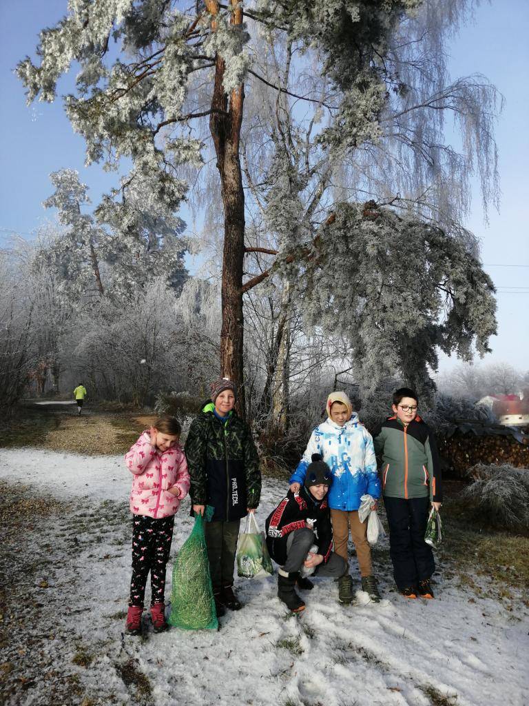 "Vánoce v lese"  Zvířátkům jsme ke krmelci přinesli seno, mrkve, jablíčka a ztvrdlé pečivo a zazpívali jsme jim koledu "Půjdem spolu do Betléma".